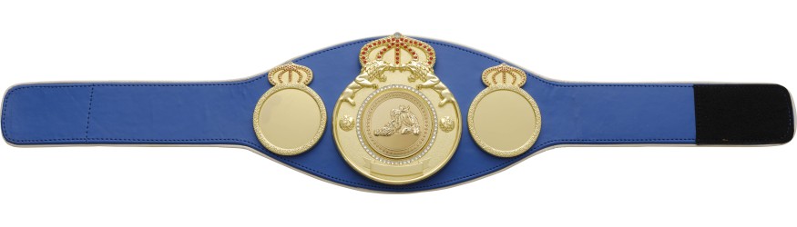 JIU JITSU CHAMPIONSHIP BELT PROLION/G/JJG - AVAILABLE IN 6+ COLOURS JIU JITSU CHAMPIONSHIP BELT PROLION/G/JJG - AVAILABLE IN 6+ COLOURS